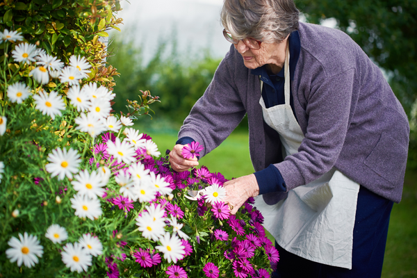 Elderly outdoors garden