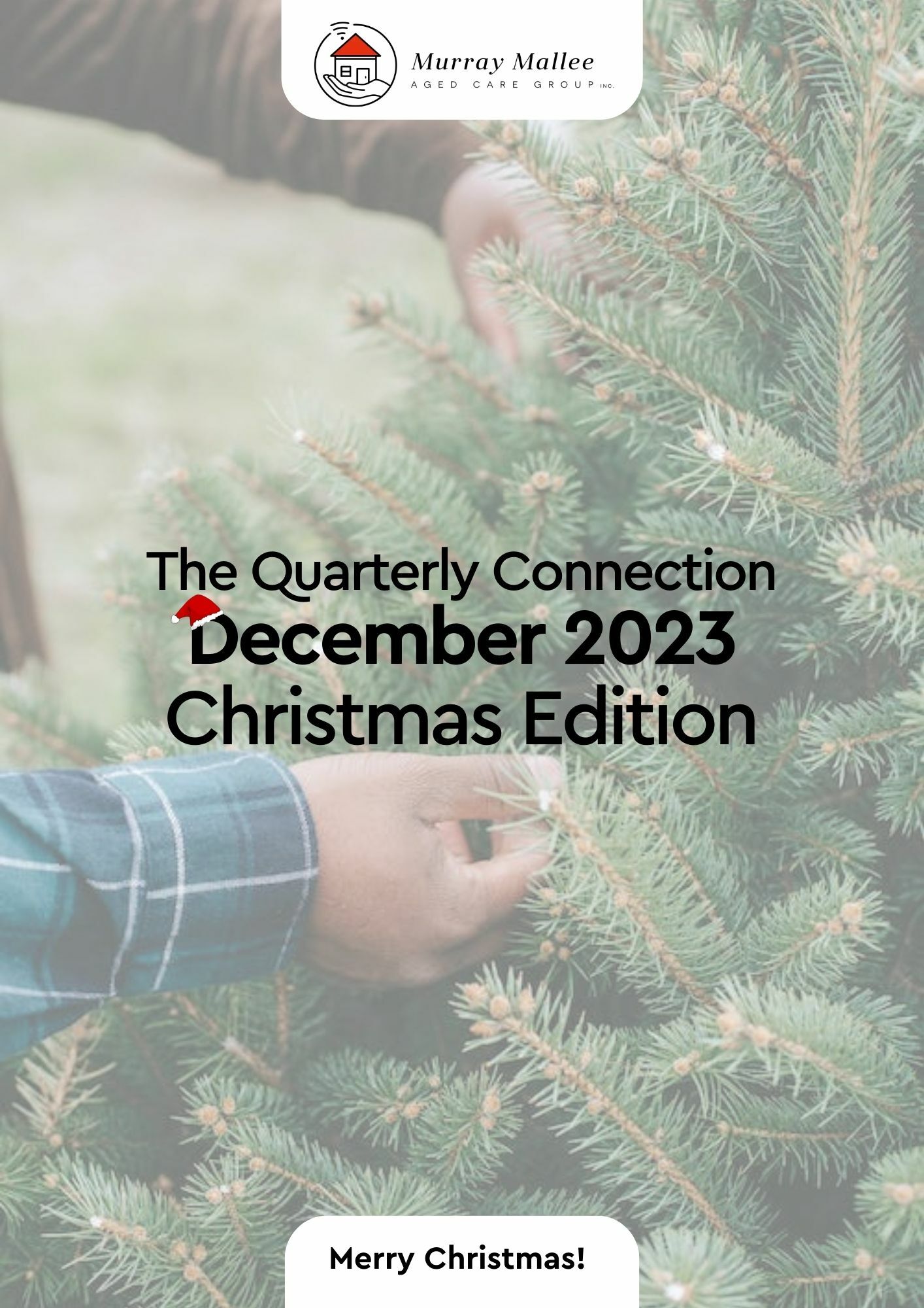 Christmas Client Newsletter T